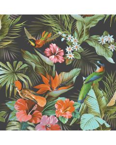 Paradise-Birds-Wallpaper-Black-Main-1.jpg