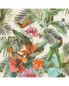 Paradise-Birds-Wallpaper-Multi-Main-1.jpg