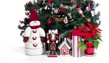 Christmas home collection